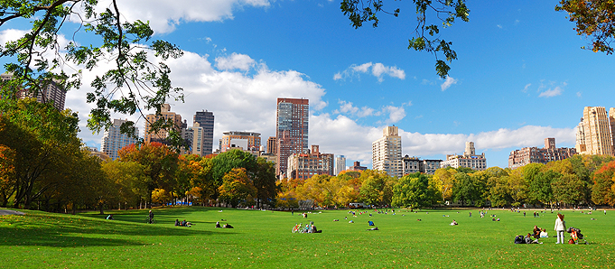 An image of a New York park